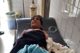 از «شایعه» تمساح در پایتخت تا «حقیقت» گاندو در سیستان و بلوچستان