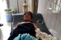 از «شایعه» تمساح در پایتخت تا «حقیقت» گاندو در سیستان و بلوچستان