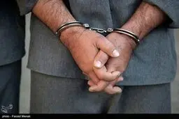 دستگیری بزرگ‌ترین واردکننده نهاده‌های دامی مازندران