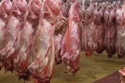 کاهش تقاضا در بازار گوشت/ بارش برف، قاچاق دام را محدود کرد