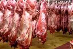 کاهش تقاضا در بازار گوشت/ بارش برف، قاچاق دام را محدود کرد