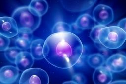 قاتل خاموشی که هر ۵۰ دقیقه یک نفر به آن مبتلا می‌شود/ کاهش سن ابتلا به سرطان سینه در کشور