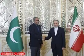 وزیر کشور پاکستان با عراقچی دیدار کرد