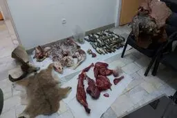 شکارچی بزکوهی در بروجرد به سه سال حبس محکوم شد