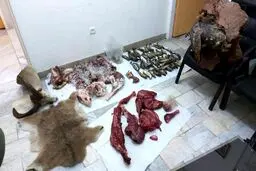 شکارچی بزکوهی در بروجرد به سه سال حبس محکوم شد
