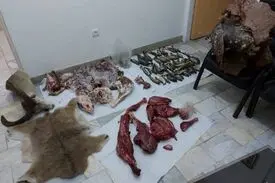 شکارچی بزکوهی در بروجرد به سه سال حبس محکوم شد