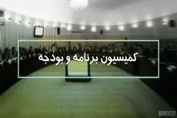 مجلس به دنبال تحقیق و تفحص از عملکرد ریاست جمهوری در حوزه اجرایی و مالی