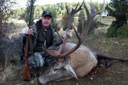 قدرت نمایی وقاحت!