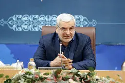 طرح انتخاباتی مجلس تبدیل به قانون شود، اجرا می‌کنیم