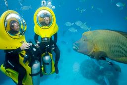 معمای پیاده روی در عمق ۴متری آب!