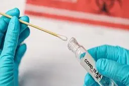 همه‌چیز درباره جهش جدید کروناویروس؛ از احتمال تشدید بیماری‌زایی تا اثرگذاری بر واکسن