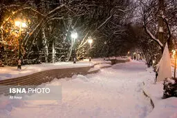 بارش باران و برف در شمال کشور/ به ارتفاعات صعود نکنید