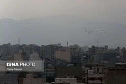 تنفس در هوای آلوده با دوپینگ غذایی