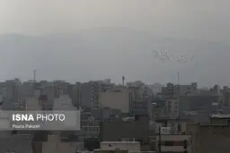 تنفس در هوای آلوده با دوپینگ غذایی