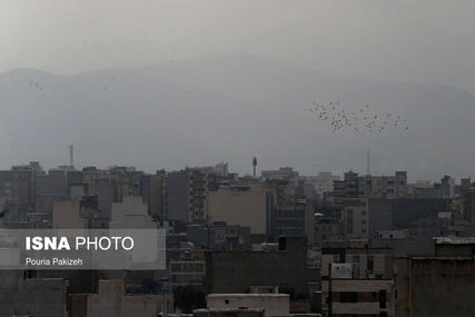 تنفس در هوای آلوده با دوپینگ غذایی