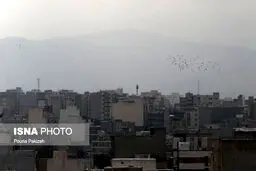 تنفس در هوای آلوده با دوپینگ غذایی