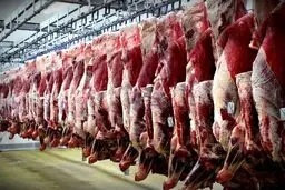 صادرات دام تا پایان سال ممنوع است/ نرخ هر کیلو دام سبک ۴۶ هزار تومان