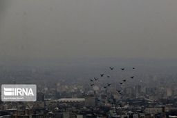 آلودگی هوا ادارات اراک در ۱۵ دی ماه را تعطیل کرد