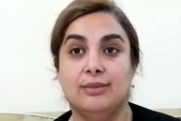 شیرین نجفی کیست و اهمیتش در پرونده آمدنیوز چیست؟