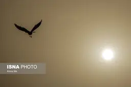 آلودگی هوای کلانشهرها/از تردد غیرضروری خودداری کنید