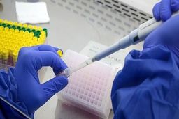 هیچ ویروسی رفتنی نیست/باید با کرونا زندگی کنیم