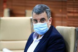 منع سفر به کشورهای خارجی مانع ورود ویروس جهش یافته کرونا به کشور شد