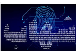 تراکنش‌های فاقد کد شهاب در ساتنا برگشت می‌خورند