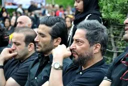 مهرداد میناوند به کما رفت