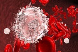 سرطان های شایع مردان و زنان در ایران