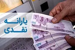 زارع: هیچکدام از پیشنهادات نمایندگان در مورد یارانه نقدی سال آینده، نهایی نشده است