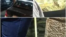 سرقت مسلحانه از طلافروشی در پرند/دزدان با پتک شیشه مغازه را شکستند