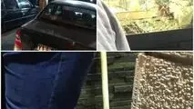 سرقت مسلحانه از طلافروشی در پرند/دزدان با پتک شیشه مغازه را شکستند