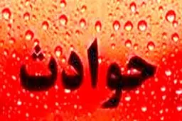 مرگ دلخراش دختر۱۱ساله در‌جنایت‌جنون‌آمیز!