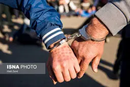 مدیر سابق منابع طبیعی سوادکوه بازداشت شد