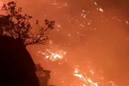 وقوع ۳۰ فقره آتش سوزی در جنگل های مازندران