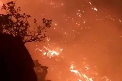 وقوع ۳۰ فقره آتش سوزی در جنگل های مازندران