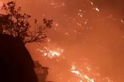 وقوع ۳۰ فقره آتش سوزی در جنگل های مازندران