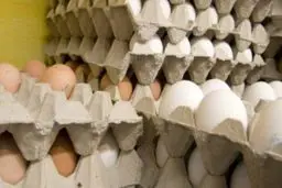 قاچاق تخم مرغ ایران به افغانستان و عراق