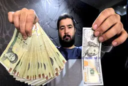 چرا صدای طرفداران «رونق حبابی» از حامیان رشد واقعی بلندتر است؟ /راز اعتیاد به «تورم‌خواری»