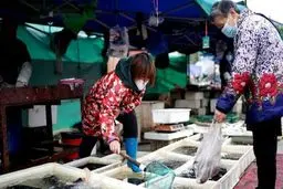 تحقیقات سازمان جهانی بهداشت در ووهان چین آغاز شد