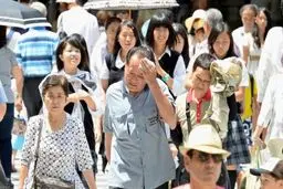 مرد ژاپنی بابت کار نکردن حق‌الزحمه می‌گیرد