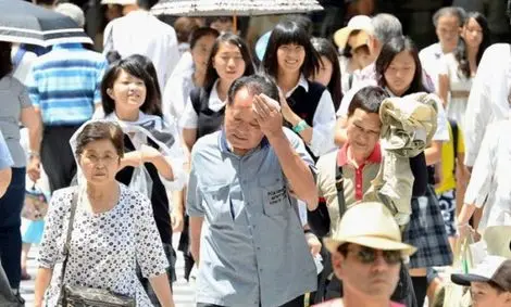 مرد ژاپنی بابت کار نکردن حق‌الزحمه می‌گیرد