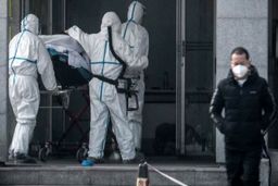 افشاگری پزشک بیمارستان ووهان: مدت‌ها به ما اجازه هشدار برای کرونا نمی‌دادند