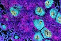 سازمان بهداشت جهانی: به اکتشافات مهمی درباره منشأ کرونا دست یافته‌ایم