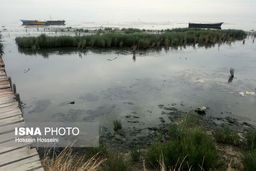 حیات خلیج گرگان به مویی بند است