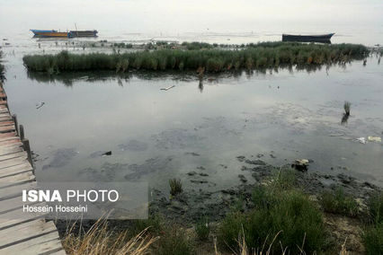 حیات خلیج گرگان به مویی بند است