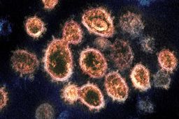 دلیل ابتلای مجدد افراد به کرونا مشخص شد