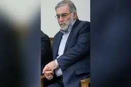 ادعای نشریه انگلیسی درباره ترور شهید فخری زاده: مشارکت ۲۰ نفر ایرانی و اسرائیلی