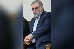 ادعای نشریه انگلیسی درباره ترور شهید فخری زاده: مشارکت ۲۰ نفر ایرانی و اسرائیلی