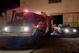 گربه‌ای که برق جزیره خارک را قطع کرد!